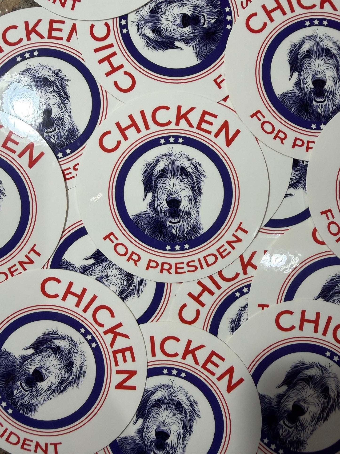 Chicken For President