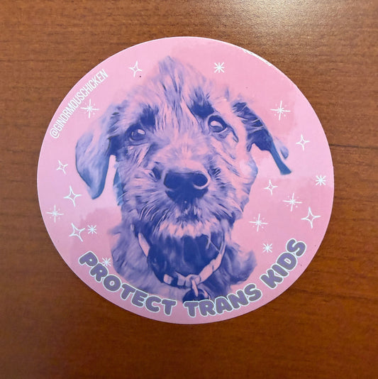 Protect Trans Kids Stickers